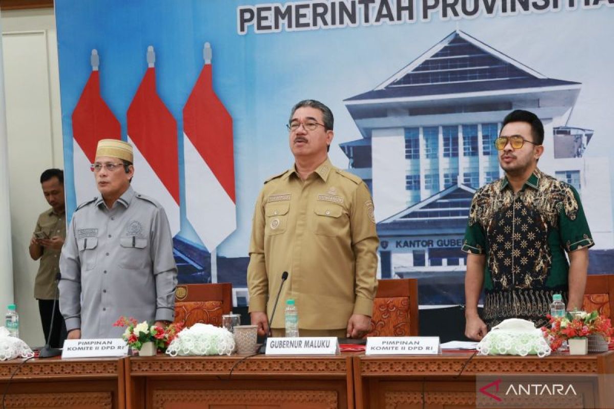 DPD RI Soroti Aspirasi Warga dalam Pengawasan Proyek Blok Masela