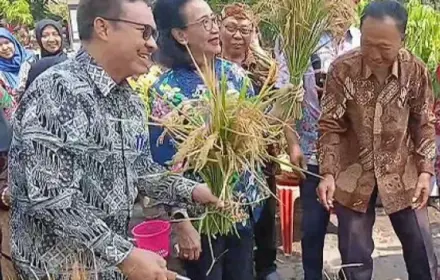 GKR Hemas Apresiasi Inovasi Padi Galon untuk Ketahanan Pangan Kota Yogyakarta