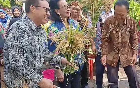 GKR Hemas Apresiasi Inovasi Padi Galon untuk Ketahanan Pangan Kota Yogyakarta