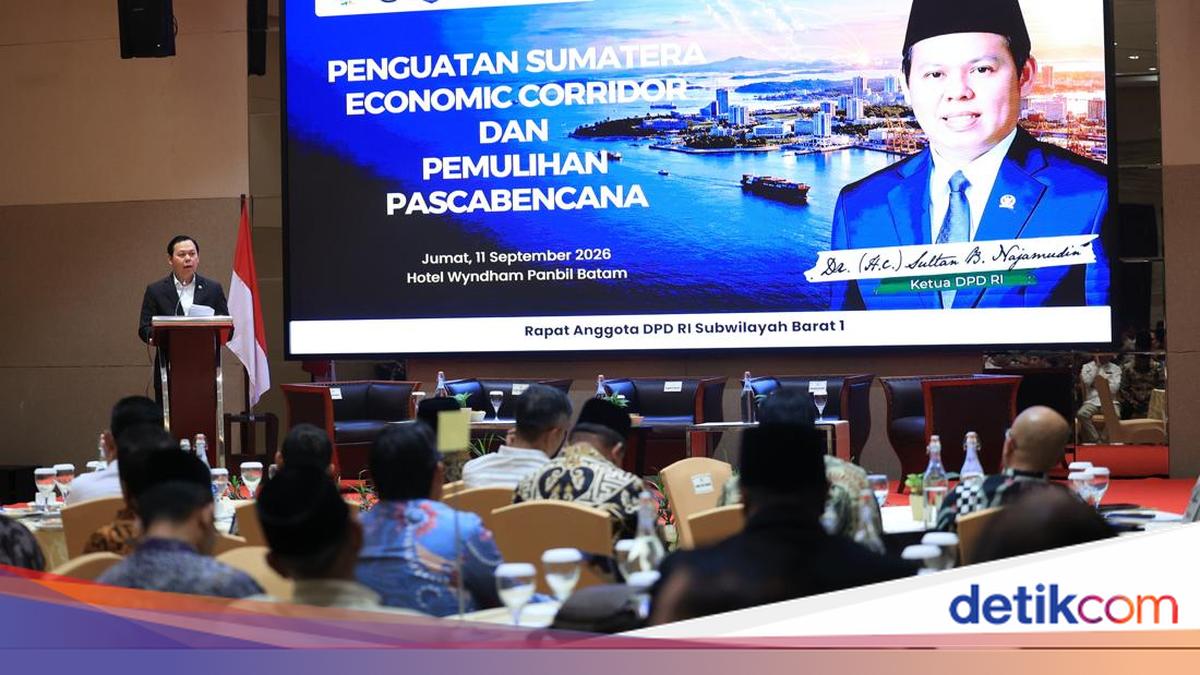 Ketua DPD RI Dorong Koridor Ekonomi Sumatera Pascabencana