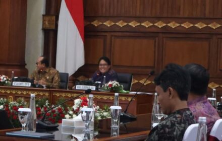 Wagub Bali Paparkan Sistem Merit dan Manajemen Talenta ASN ke DPD RI