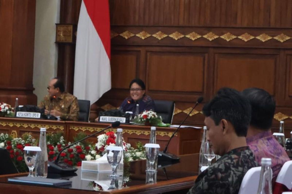 Wagub Bali Paparkan Sistem Merit dan Manajemen Talenta ASN ke DPD RI