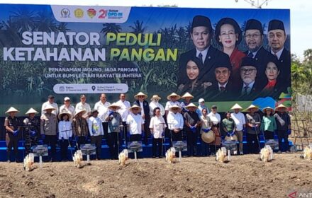 GKR Hemas dorong kolaborasi petani NTT lewat program ketahanan pangan DPD RI