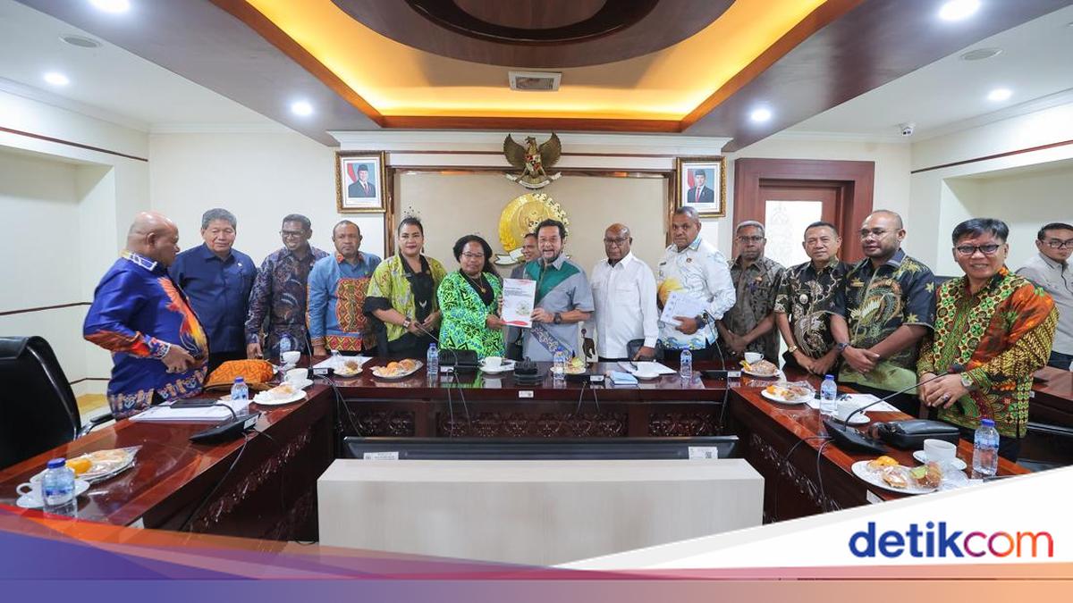 MRP Papua Temui Wakil Ketua DPD RI Bahas Akselerasi DOB Papua Utara