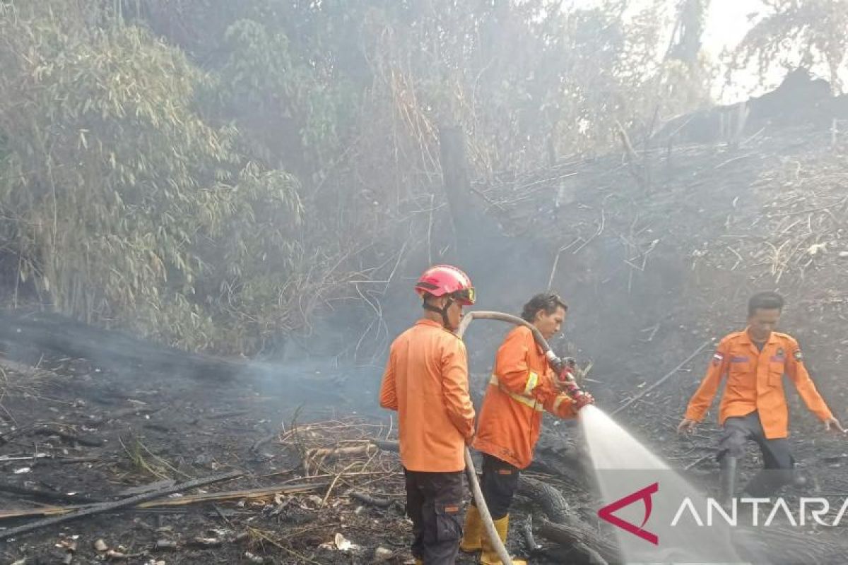 Sultan DPD RI Dorong Bantuan Negara Sahabat untuk Tekan Karhutla